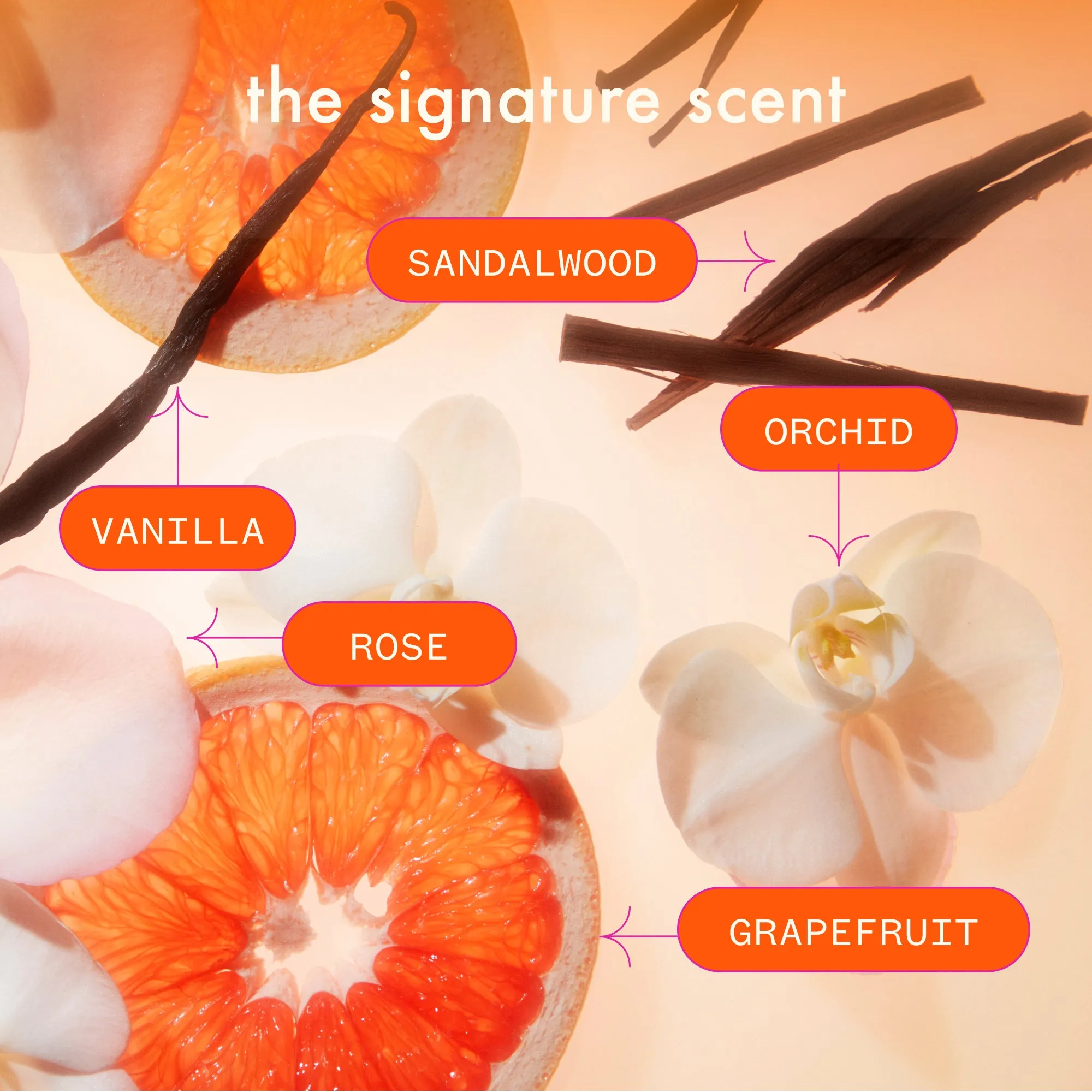 big hit | volumizing shampoo