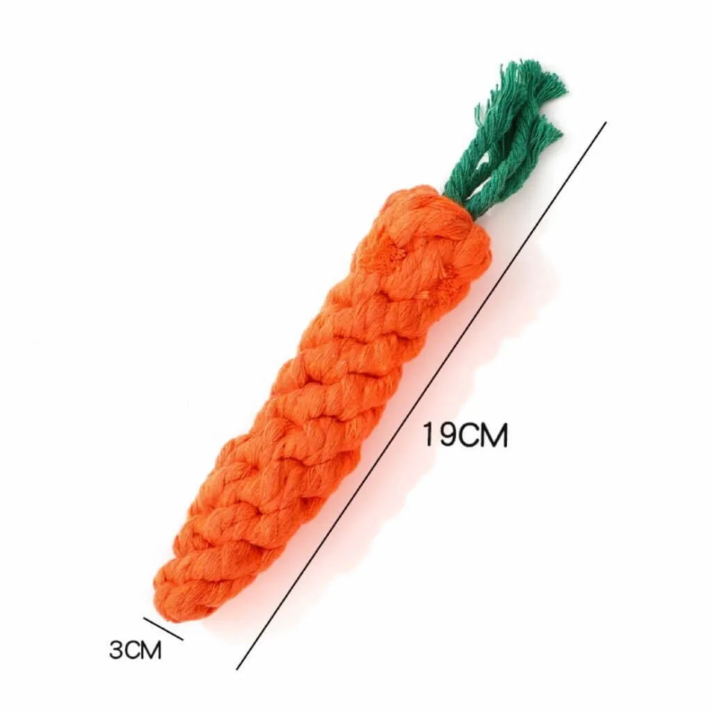 Carrot Shaped Pet Teeth Cleaning Dog Chewing Toy