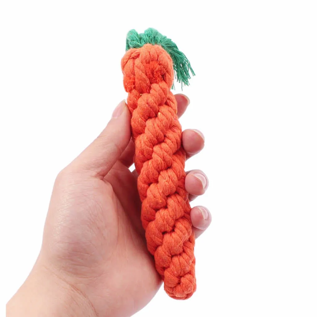 Carrot Shaped Pet Teeth Cleaning Dog Chewing Toy