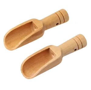 Mini Wooden Scoop