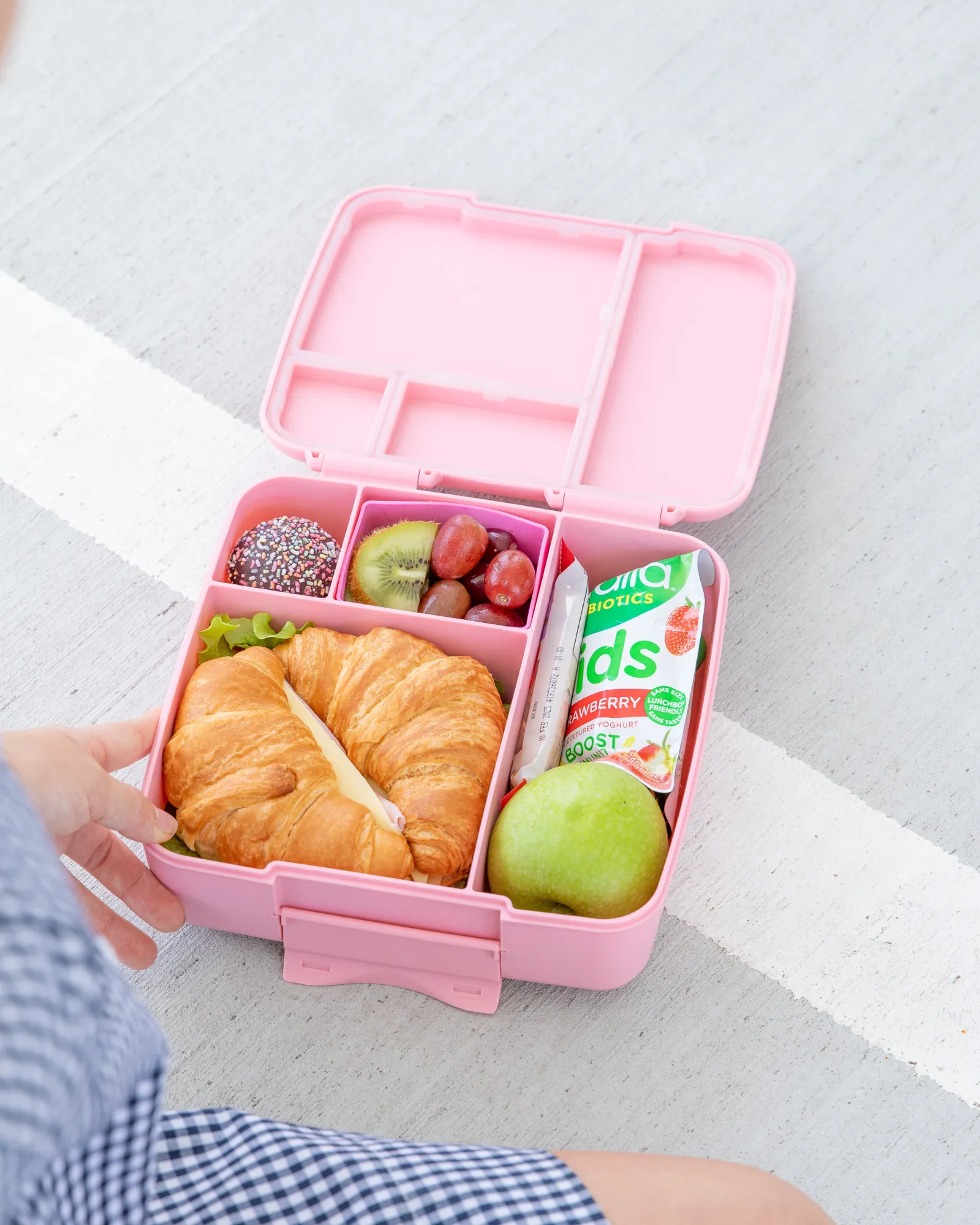 MontiiCo Feast Bento Cups - Floss